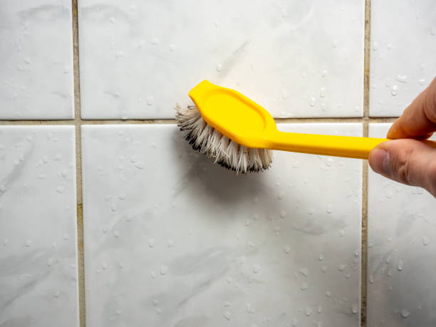 Best Mold Testing  in Denver, NC